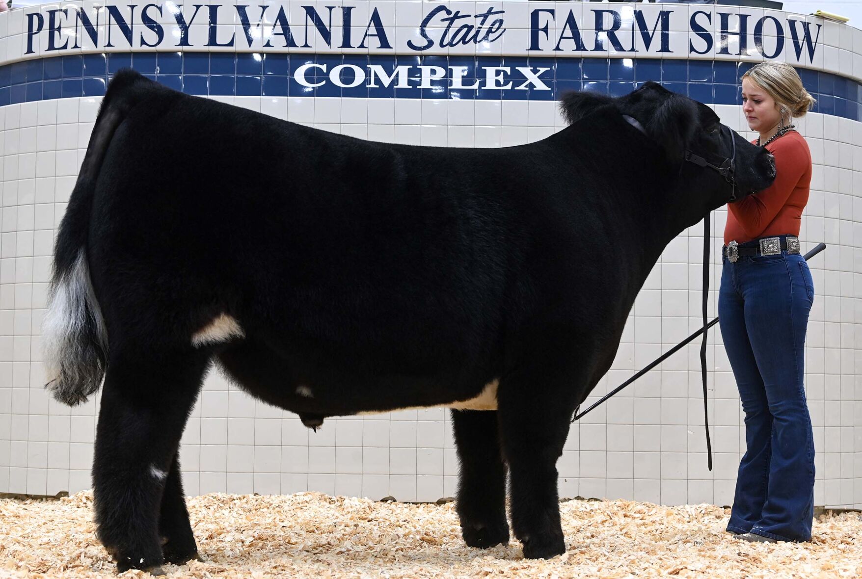 Farm Show PA Tuesday 11.JPG